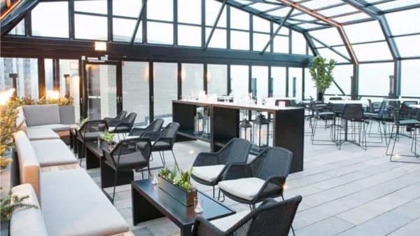 Drinks at the J Parker Rooftop