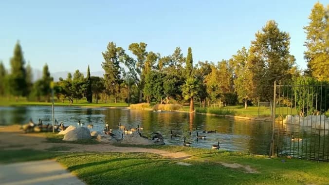 ๐ฟ Friday Evening Park Walk: Unwind & Reset ๐ฟ